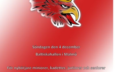 Gripen Cup 4 dec