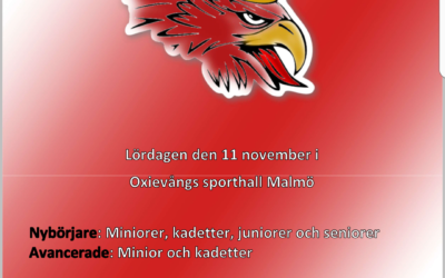 Gripen Cup 11 nov