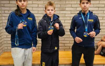 Jönköping Open avancerad