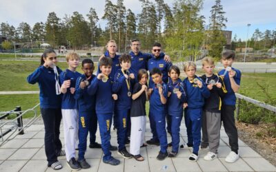 Wermdö Open 2026